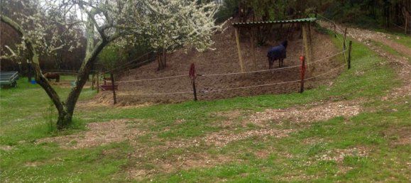 35000m² Land in Fauglia, Italy No. 171077 5