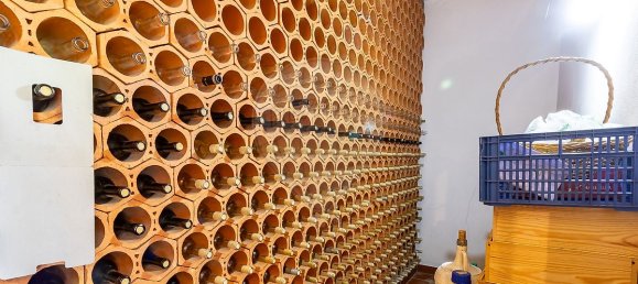 4 Schlafzimmer Haus in Amarante, Portugal, Nr. 27566 46