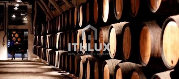 9 غرف نوم منزل في Tabuaco, Portugal رقم 135157 28