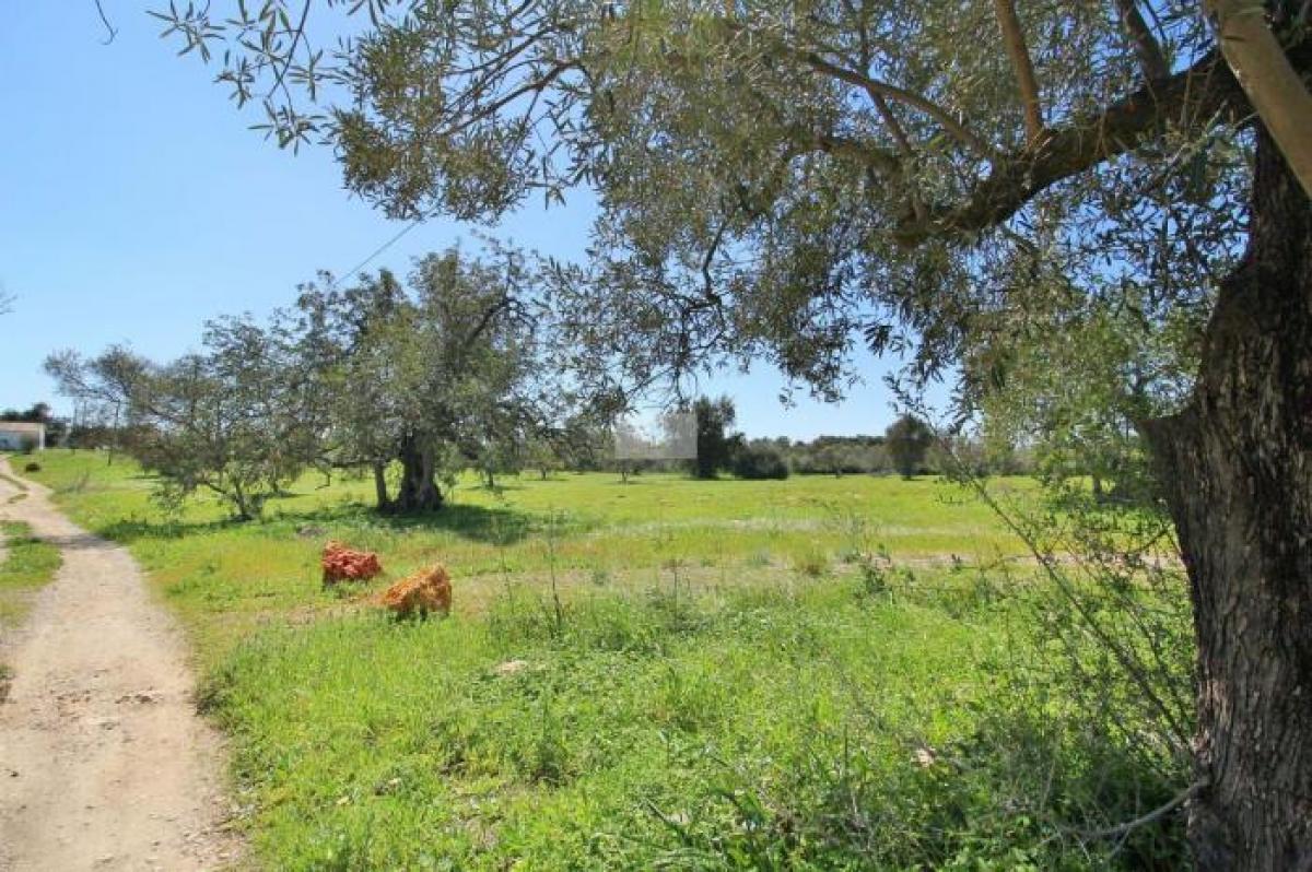 14962m² Land in Tavira, Portugal No. 8709