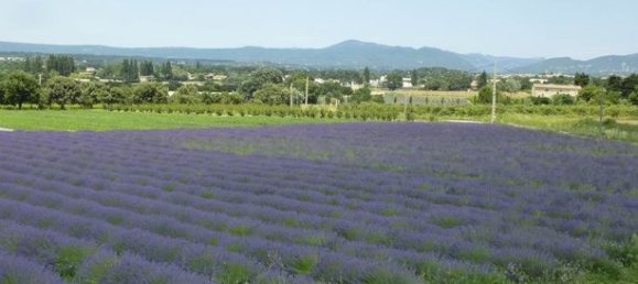 14 Schlafzimmer Haus in Valreas, France, Nr. 306421 2
