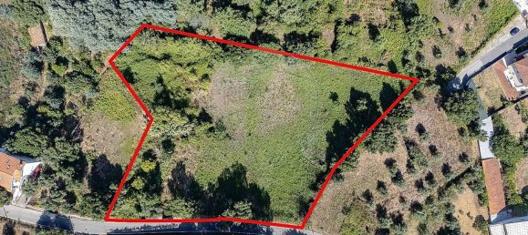 Terreno em Torres do Mondego, Portugal 4360 m² N.º 17322 4