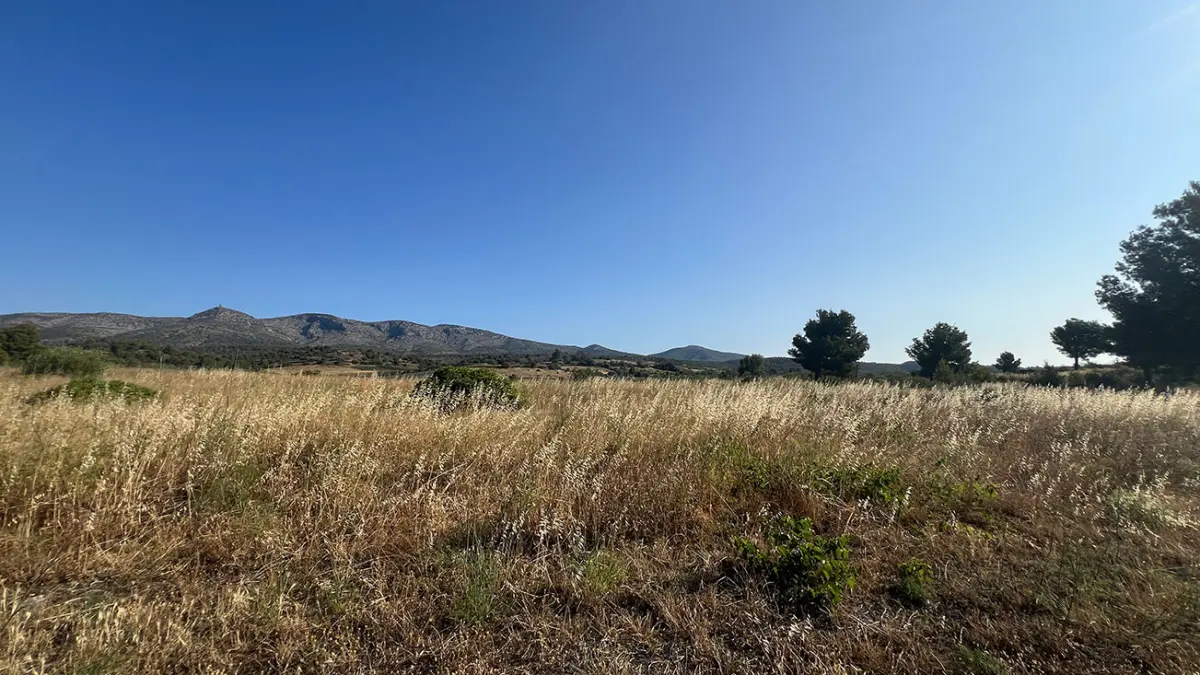 338m² Land in Cases-de-Pene, France No. 93514