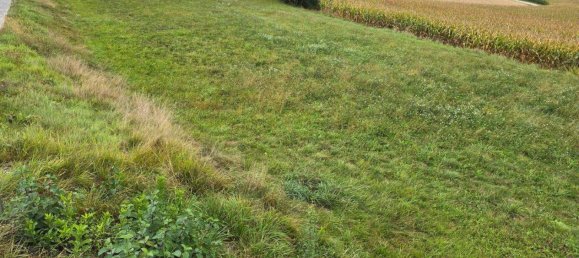  Land in Ruden, Austria No. 193807 5