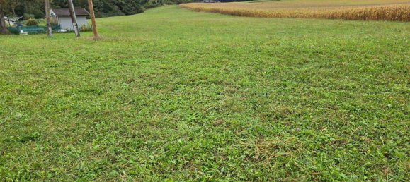  Land in Ruden, Austria No. 193807 4