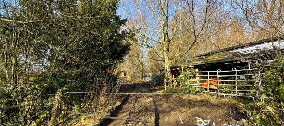 Дом с 3 спальнями в Обербергиш, Германия № 157494 11