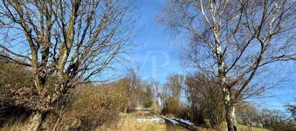 Дом с 3 спальнями в Обербергиш, Германия № 157494 9