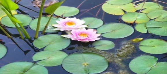 Villa 5+2 in Bodrum, Turkey No. 28292 13