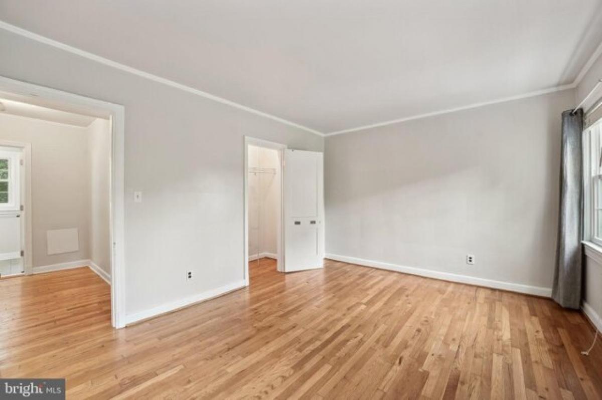 استوديو في Arlington, USA رقم 242654