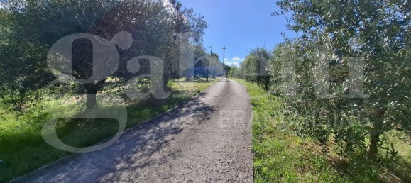 4 bedrooms Villa in Sora, Italy No. 289281 19