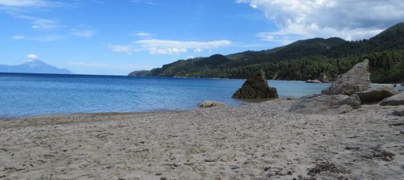 1 bedroom Commercial property in Chalkidiki, Greece No. 2039 12