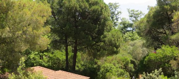 1 bedroom Commercial property in Chalkidiki, Greece No. 2039 14