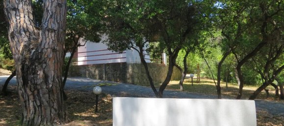 1 bedroom Commercial property in Chalkidiki, Greece No. 2039 13