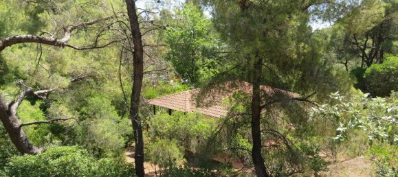 1 bedroom Commercial property in Chalkidiki, Greece No. 2039 2