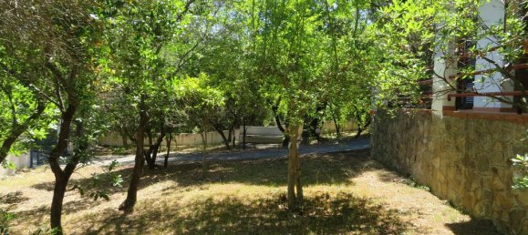 1 bedroom Commercial property in Chalkidiki, Greece No. 2039 5