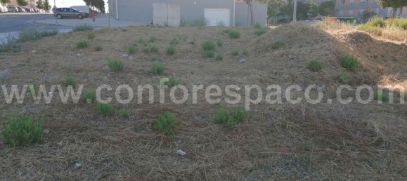  قطعة أرض في Castelo Branco, Portugal 375متر مربع رقم 87964 3