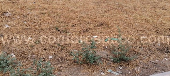  قطعة أرض في Castelo Branco, Portugal 375متر مربع رقم 87964 2