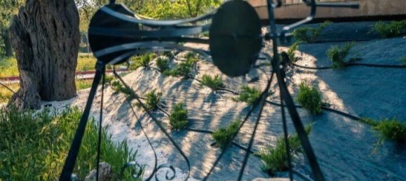 Villa T5 em Thasos, Greece N.º 2405 9