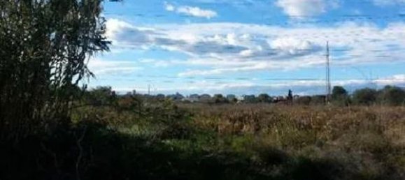 Земельный участок 1605м² в Кастельон-де-ла-Плана, Испания № 164661 2