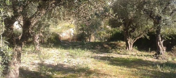 5 bedrooms Commercial property in Zakynthos, Greece No. 602 19