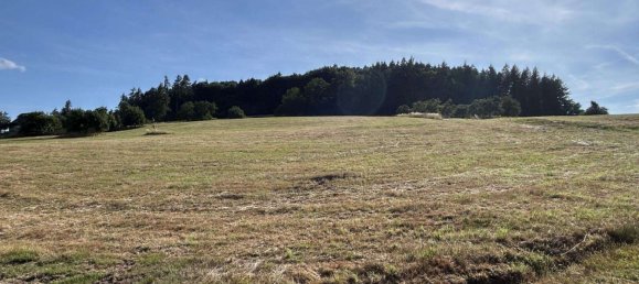 Granja de 5 dormitorios en Odenwaldkreis, Germany No. 236686 11