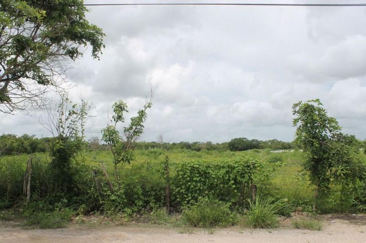 Grundstück in Merida, Mexico, Nr. 99199