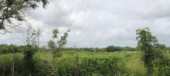 Grundstück in Merida, Mexico, Nr. 99199 2