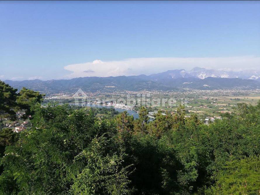 4 rooms Apartment in Ameglia, Italy No. 159595