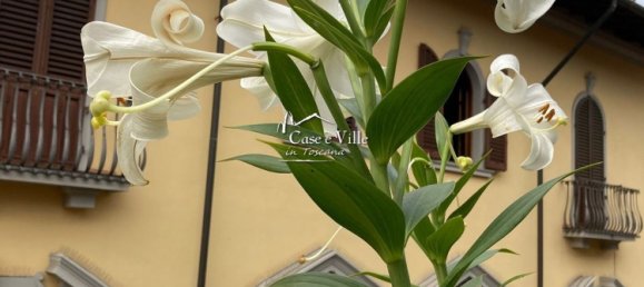 10غرفة بانتهاوس في Prato, Italy رقم 109930 36