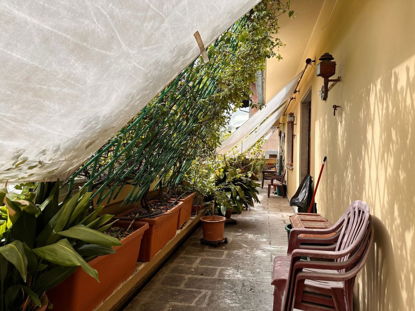 10غرفة بانتهاوس في Prato, Italy رقم 109930