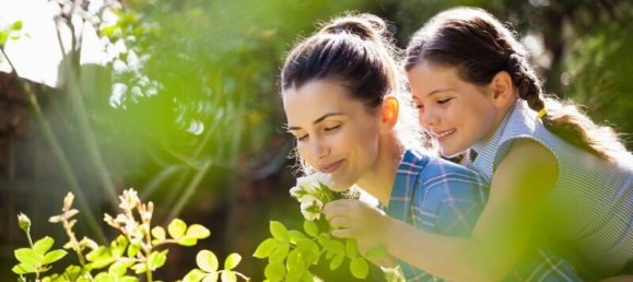 Terrain à Salzburg, Austria 75m² No. 91726 13