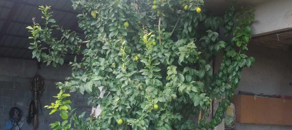 12-Zimmer Haus in Montebello di Bertona, Italy, Nr. 126027 3