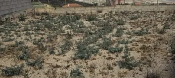 Terreno em San Miguel de Abona, Spain N.º 172691 55