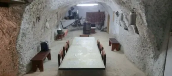 Terreno em San Miguel de Abona, Spain N.º 172691 10