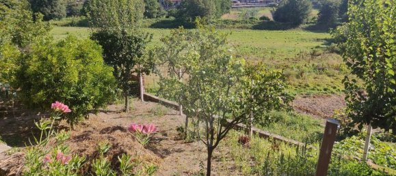 100m² Warehouse in Campo de Besteiros, Portugal No. 38383 5