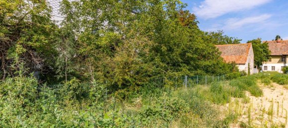 Terrain à Hollabrunn, Austria No. 70479 2