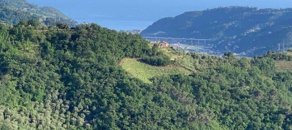 3غرفة فيلا في Dolceacqua, Italy رقم 221814 12