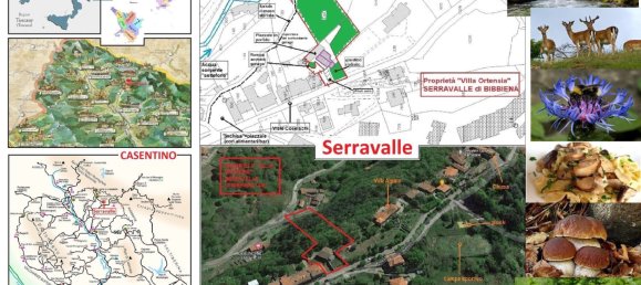 7-Zimmer Villa in Bibbiena, Italy, Nr. 255031 2