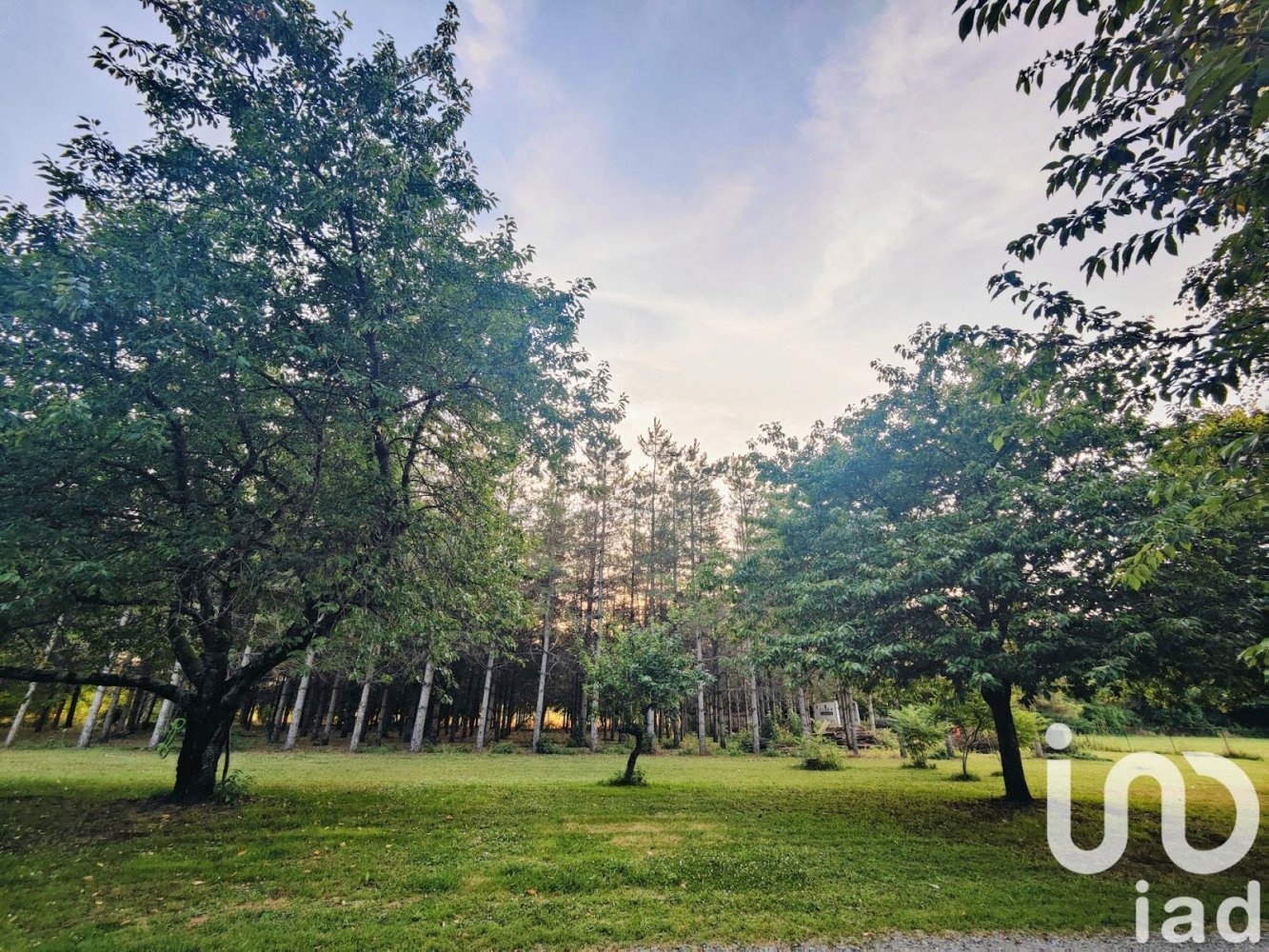 5 Schlafzimmer Haus in Hommes, France, Nr. 262015