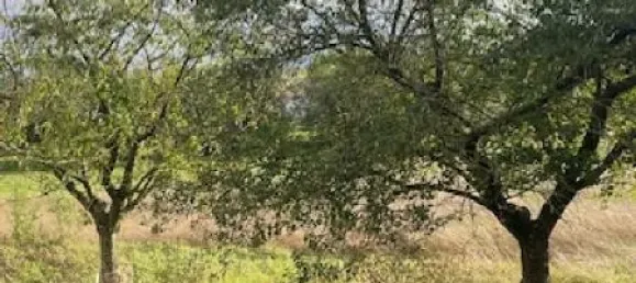  قطعة أرض في Moncel-sur-Seille, France 563متر مربع رقم 75078 3