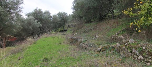 Hotel in Corfu, Greece 9500m², Nr. 5169 2