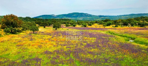 19 bedrooms Castles in Crato, Portugal No. 132399 32