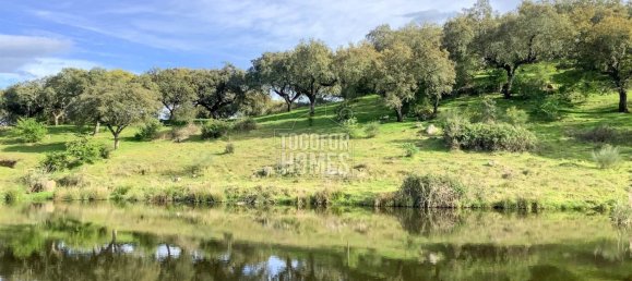 19 bedrooms Castles in Crato, Portugal No. 132399 15