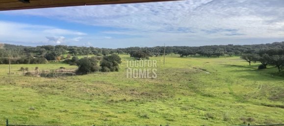 19 bedrooms Castles in Crato, Portugal No. 132399 31