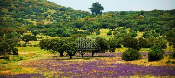 19 bedrooms Castles in Crato, Portugal No. 132399 20
