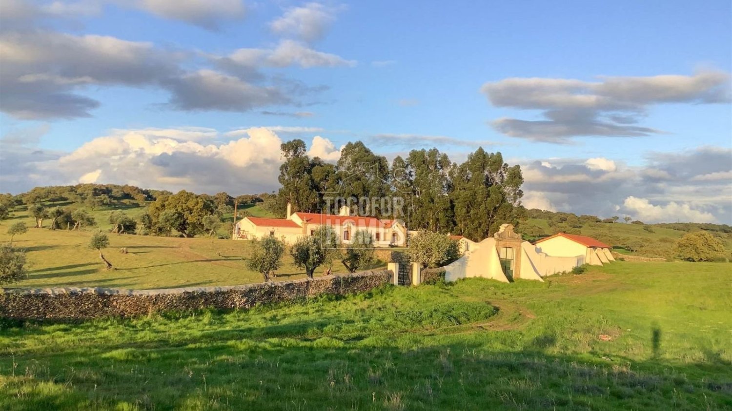 19 bedrooms Castles in Crato, Portugal No. 132399