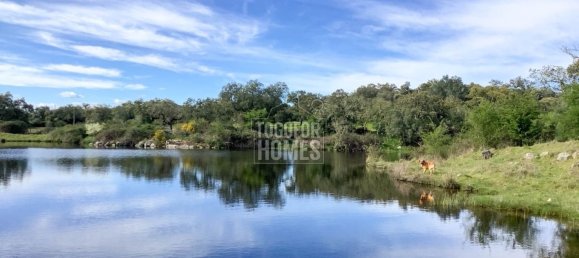 19 bedrooms Castles in Crato, Portugal No. 132399 6