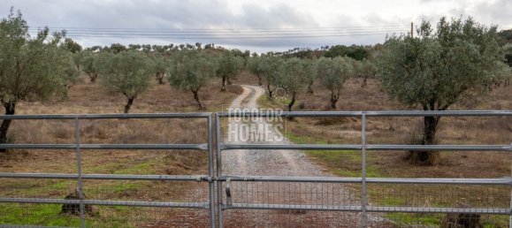 19 bedrooms Castles in Crato, Portugal No. 132399 2