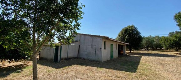 4 bedrooms House in Campagnatico, Italy No. 302701 10