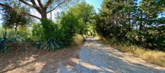 4 bedrooms House in Campagnatico, Italy No. 302701 18